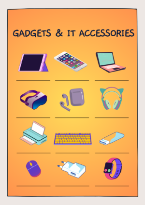 GADGETS & IT ACCESSORIES