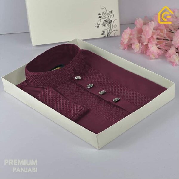 Premium Quality Panjabi   (P-596)