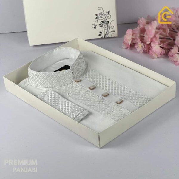 Premium Quality Panjabi   (P-595)